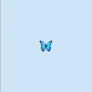 Meet your Posher, Carly